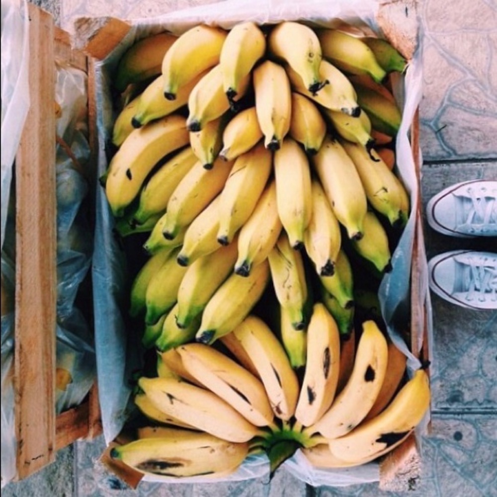 Meet your Posher, Taylor